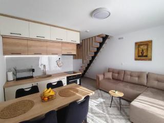 AlibiKopaonikSky32 - 6