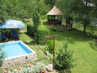 Casa Rustica Oltenia - Băile Govora - 0