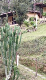 PARAÍSO ROMÂNTICO - para casais - cozinha para preparar suas refeições - Lumiar - 9