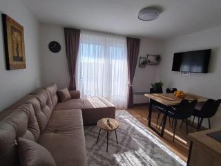 AlibiKopaonikSky32 - 9