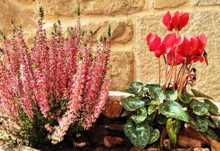 Casa Rural Lorehonea - 8