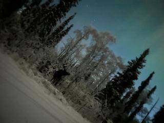 Northern Lights Getaway! - 6