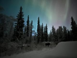 Northern Lights Getaway! - 5