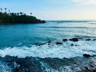 The Lotus House - Ahangama - 4