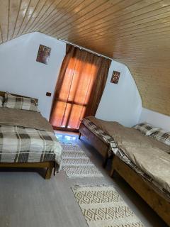 Cabana Bradu Moșului - 2