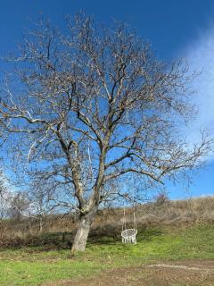 Cabana A-frame City View Târgoviște - 3