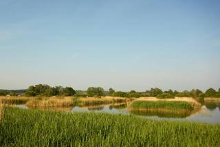 Countryside Retreat 5 Minutes to Glastonbury and 10 Minutes to Wells - 6