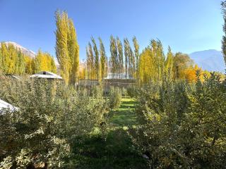 Bogishamol Homestay, Gelon Village - 4