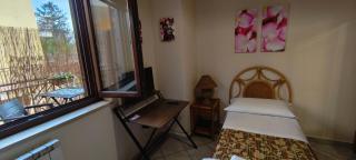 I Fiori di AminA Le Begonie - 8