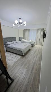 Транзит Сервис 1 Аэропорт- Кишинёв - Chişinău - 9