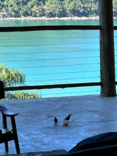 Casa 5 suítes - Vista para a Barra do Sahy - 7