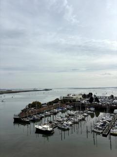 The Lake Lookout - 8