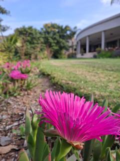 Bokdriftgasteplaas - 0