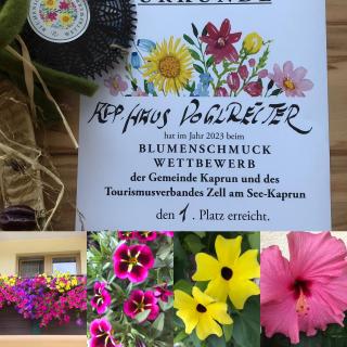 Appartement Nr 21 Haus Voglreiter - 3