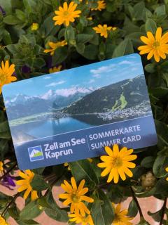 Appartement 16 - Haus Voglreiter - 2