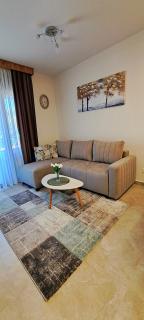 Apartman Kristal, Vrnjačka Banja - 9