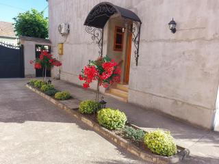 Apartman Vila Milica - 9