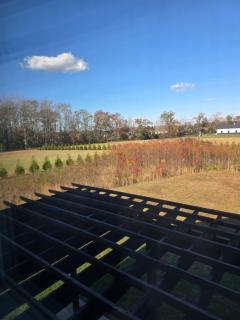 Luxurious Eastern Shore Getaway - 6