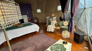 FéLIZA Rainforest Domes - 6