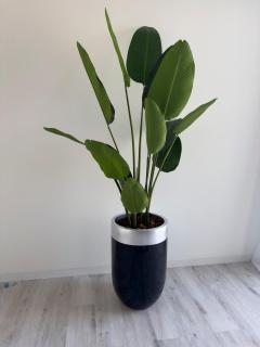 2-bdr bright apt central street cidadela - LCGR - 4