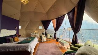 FéLIZA Rainforest Domes - 8