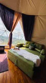 FERNANDA Dome at FéLIZA Rainforest Domes - 5