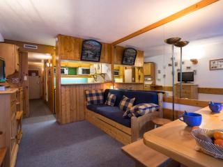 Studio rénové au ski, balcon, animaux acceptés - FR-1-346-436 - 0