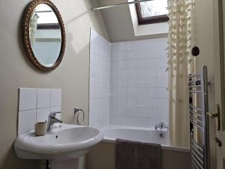 Cosy barn on rural smallholding with alpacas, goats & pigs - 5