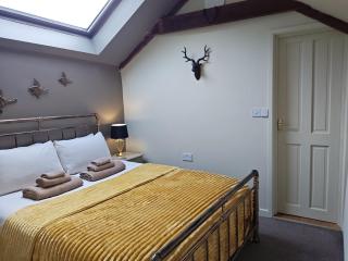 Cosy barn on rural smallholding with alpacas, goats & pigs - 6