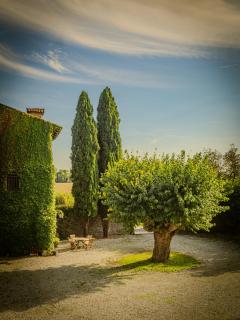 La Torre della Casaforte Bergum alle porte di Cividale del Friuli - Cividale del Friuli - 7