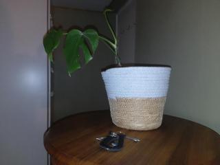 Goose On Uitvlught Self Catering Accommodation Room2 - 5