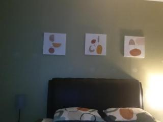 Goose On Uitvlught Self Catering Accommodation Room2 - 2