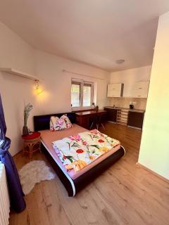 Apartment Josefská 2 Teplice - 0