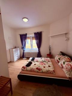 Apartment Josefská 2 Teplice - 3