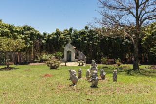 Casa de Campo com Piscina e Lareira em Braganca - 6