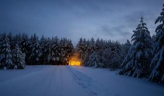 Cozy Green Cottage - 7