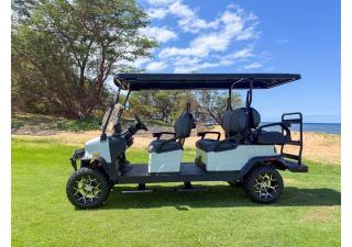 Blue Lagoon with Hot Tub and Golf Cart! - 9
