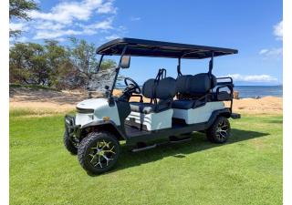 Blue Lagoon with Hot Tub and Golf Cart! - 8