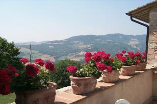 L'Oasi - Piano Delle Pieve - 4