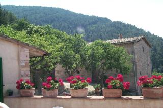 L'Oasi - Piano Delle Pieve - 3