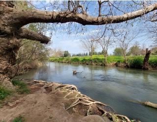 בדרך לנחל - 5