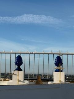 Agave Urban Oasis in Matino - 5