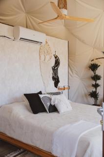 Seed Domo Tarifa - 8