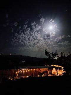 Seed Domo Tarifa - 5