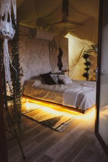 Seed Domo Tarifa - 3