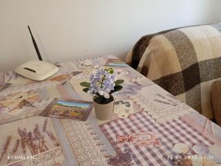 Солнечный Прогрессивная 17 - 1