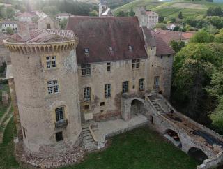 Chateau d'Albon - Saint Andre d'Apchon - 5
