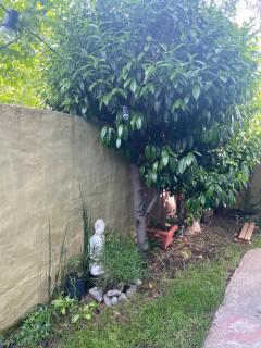 Lugar bonito casa de dos habitaciones - 7