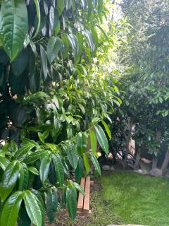 Lugar bonito casa de dos habitaciones - 8