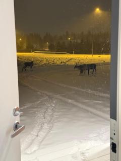 Finnish design villa with outdoor jacuzzi - 9